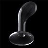 FLAWLESS CLEAR PROSTATE PLUG 6.0'' | | €7.76 | mojsexshop.sk