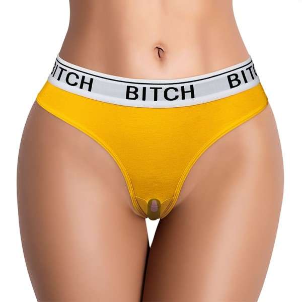 BITCH VIBRATING PANTIES (34~38 INCH WAIST) | | €19.56 | mojsexshop.sk