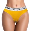 BITCH VIBRATING PANTIES (24~27 INCH WAIST) | | €20.14 | mojsexshop.sk