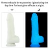 7.5'' LUMINO PLAY SILICONE DILDO | | €21.18 | mojsexshop.sk