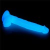 10.5'' LUMINO PLAY SILICONE DILDO | | €27.20 | mojsexshop.sk