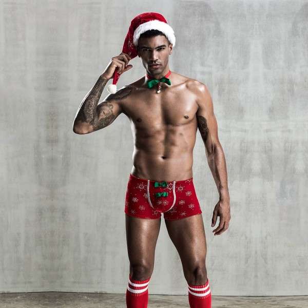 CHRISTMAS LOOK COSTUME 4-PIECE S/M | | €26.04 | mojsexshop.sk