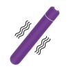 X-BASIC BULLET 10 SPEEDS PURPLE | | €6.26 | mojsexshop.sk