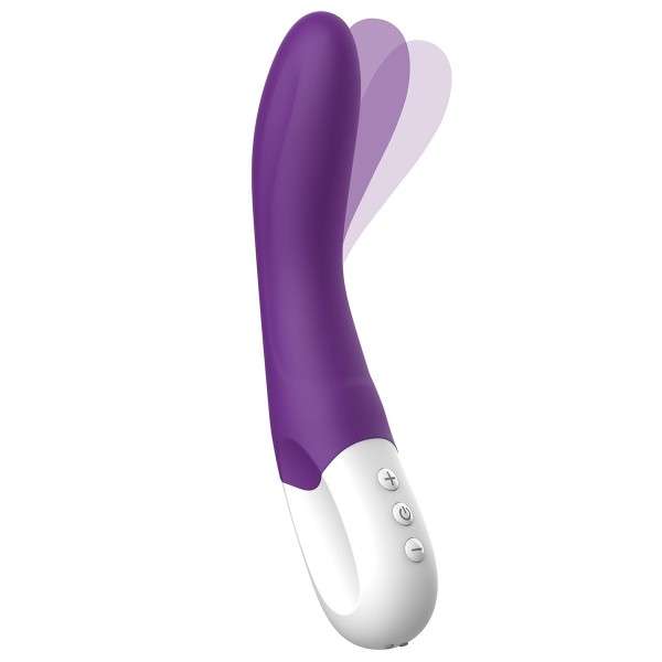 VIBRATOR LIEBE BEND IT RECHARGEABLE PURPLE | | €64.48 | mojsexshop.sk